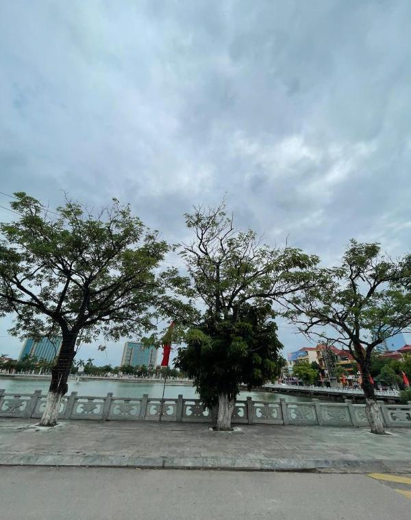 Đất nền bích sơn central point trung tâm 🏣 thị trấn bích động, việt yên đợt đầu