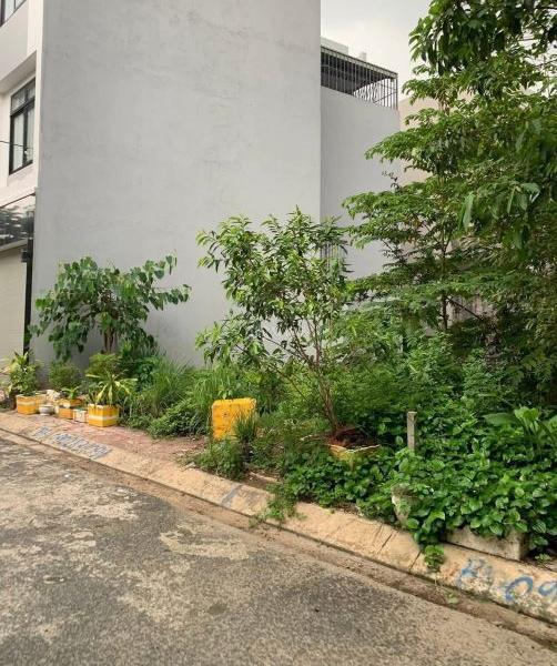 Chủ cần bán Đất nền riêng lẻ 62m²