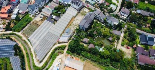Chủ cần bán Đất nền riêng lẻ 429m²