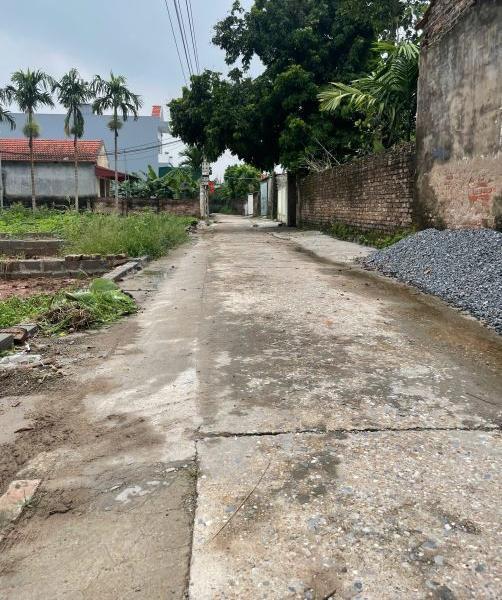 Bán Đất nền riêng lẻ 100m²