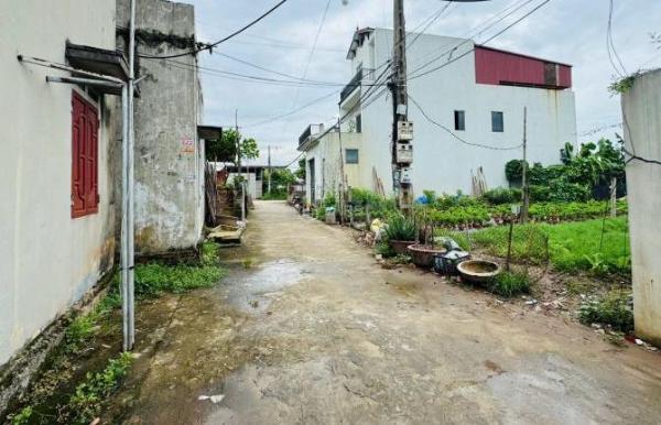 Cần bán 100m2 đất đấu giá Phú 🔥 Trạch,Hưng Yên, Đường thông, hạ tầng đẹp giá tốt