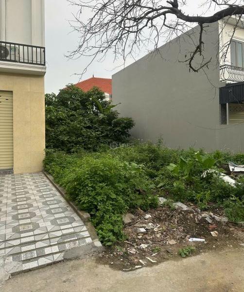 Bán đất đẹp 63m3 SĐCC Tràng Minh Phù Lưu ,KIến An Hải ☘ Phòng