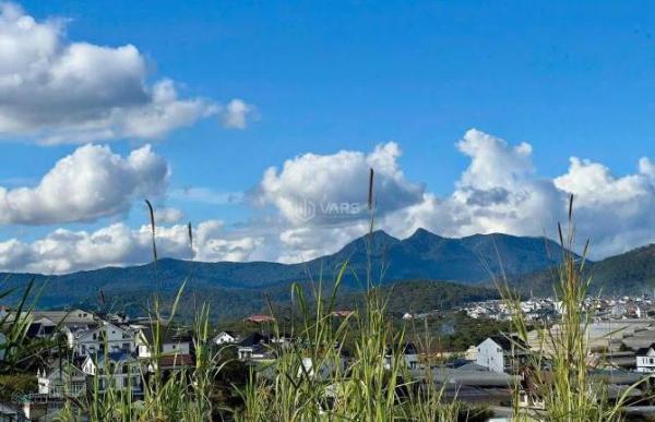 ✨🏡✨Cần bán đất biệt lập 237m² P.11, ĐÀ LẠT giá 🌊 không thể rẻ hơn, liên hệ em ngay!!!