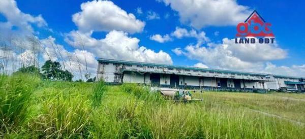 XT256 Cho thuê 🏬 - Kho - Xưởng SX Nhẹ. Ngoài Khu Công Nghiệp. Long Thành. Đồng Nai. - Nhà X