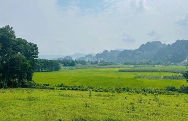 BÁN GẤP SIÊU PHẨM VIEW 🏚️ TRIỆU ĐÔ CÓ DT 2000m2 CHỈ CÁCH ĐƯỜNG HCM CÓ 1KM
