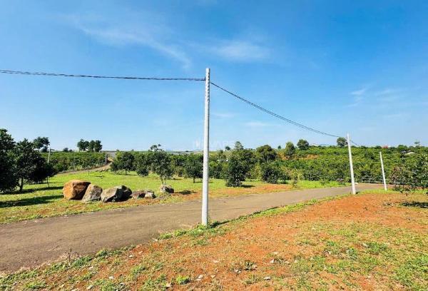 Bán Đất nền Dự án 133m²