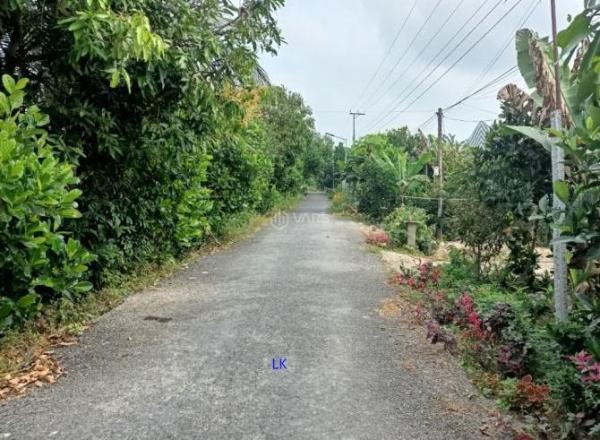 🔰 🏤 Bán 7.000m² (40m x 175m, thổ 400m², còn lại đất lúa) 🔰 Đường nhựa 3.5m, xã Mỹ Thọ