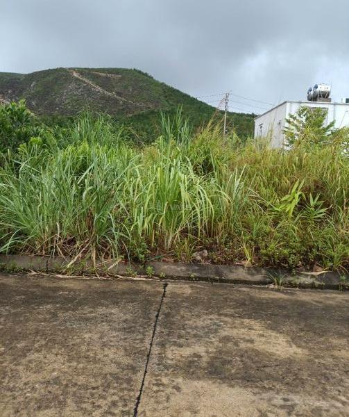 BÁN LÔ ĐẤT ĐẸP 155M² – MẶT TIỀN 8M – GẦN SÂN BAY VÂN ĐỒN – GIÁ CHỈ 9 TỶ ☘ 5