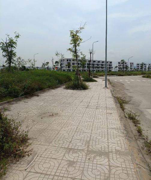 BÁN ĐẤT GẦN TRƯỜNG HỌC KĐT 👍 TRƯNG VƯƠNG 75M² – KINH DOANH – 5 TỶ 6