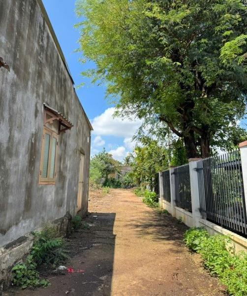 Cần bán Đất nền riêng lẻ 115m²