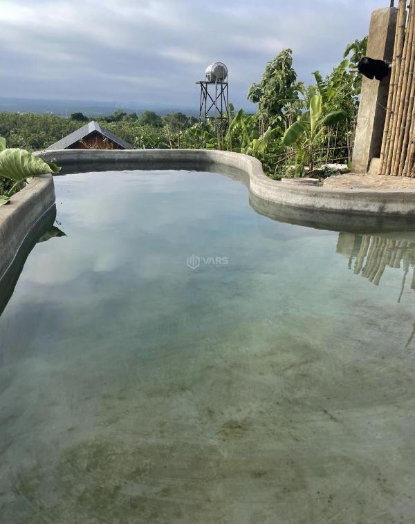 Bán Trang trại, nhà vườn 1000m²