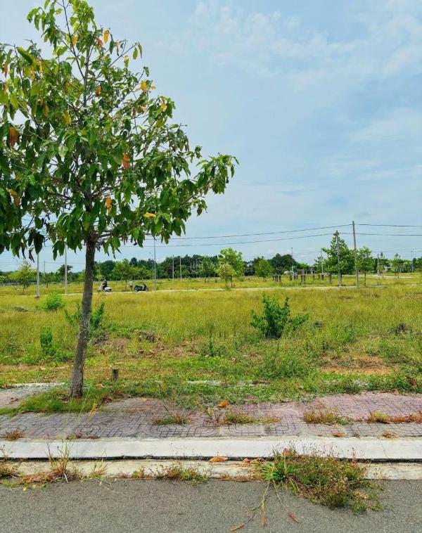 Bán Đất nền riêng lẻ 133m²