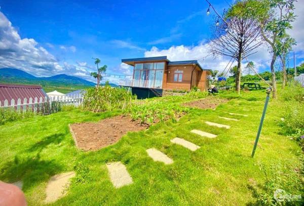 Chủ cần bán Đất nền Dự án 250m²