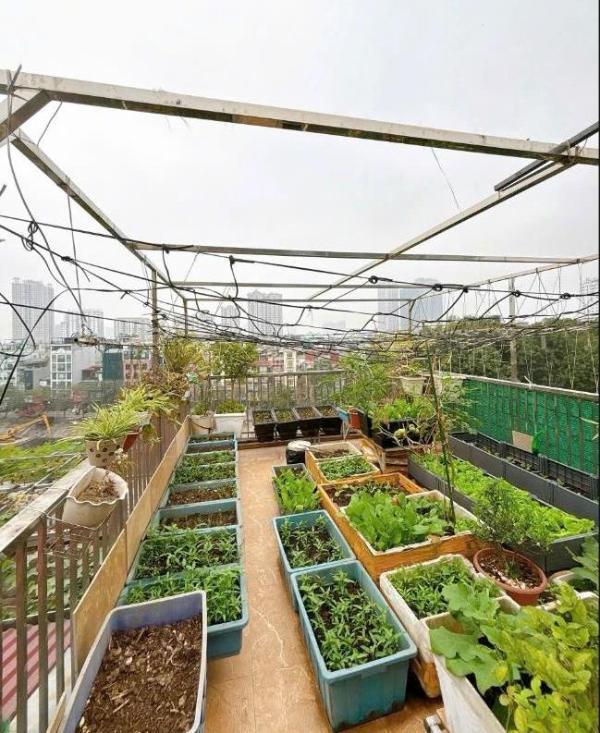 Bán gấp mặt phố đường láng 47m2x7tầng, 2 thoáng, thang ☘ máy vip kinh doanh đỉnh