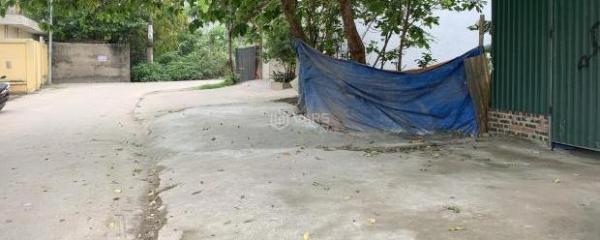 Đất đấu giá xã Kim Chung, Hoài Đức, 81 m2, lô góc cần 🏘️ bán.