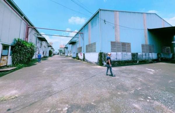 Chủ cho thuê Nhà xưởng, nhà kho 12000m²