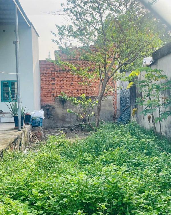 Bán Đất nền riêng lẻ 113m²