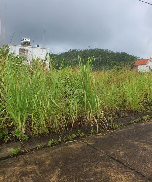 Cần bán Đất nền riêng lẻ 300m²