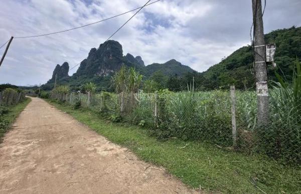 Bán 🔥 lô 1000m có 200tc. Cạnh khu du lịch vườn hoa núi cối. MT 20m bám đường liên xã.Giá 9xx