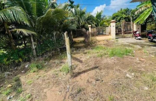 BÁN 418M2 🌊 CÓ 100M2 THỔ CƯ, MT ĐƯỜNG XÃ THUẬN ĐIỀN, GIỒNG TRÔM, BẾN TRE