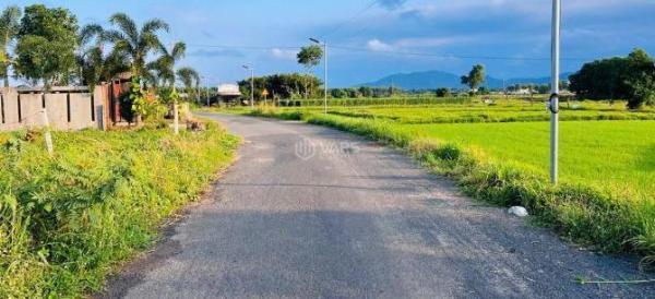 Cần bán Đất nền riêng lẻ 438m²