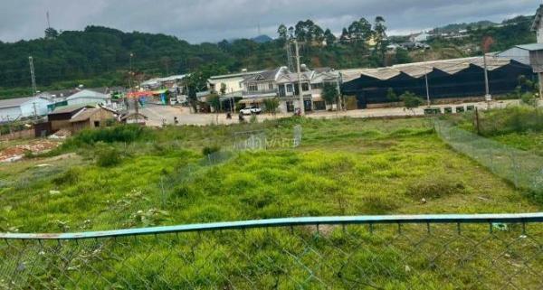 Chủ cần bán Đất nền riêng lẻ 236m²