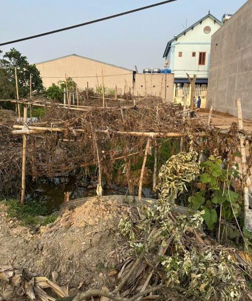 Chủ cần bán Đất nền riêng lẻ 125m²