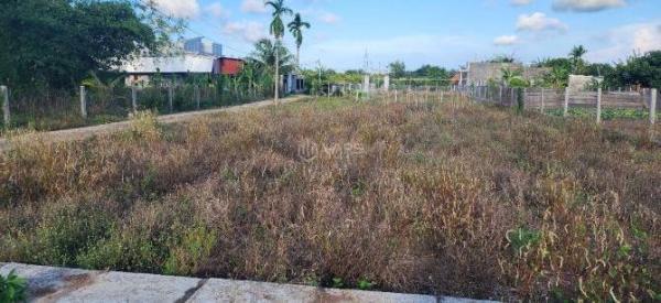 Bán lô đất 2 🏠 mặt tiền đường xã Xuyên Mộc, Xuyên Mộc, Bà Rịa Vũng Tàu
