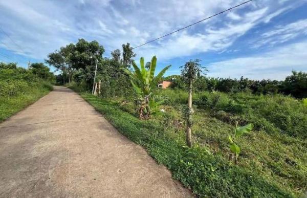 chủ 🏠 bán 1000m2 trồng xoài Thái Lan