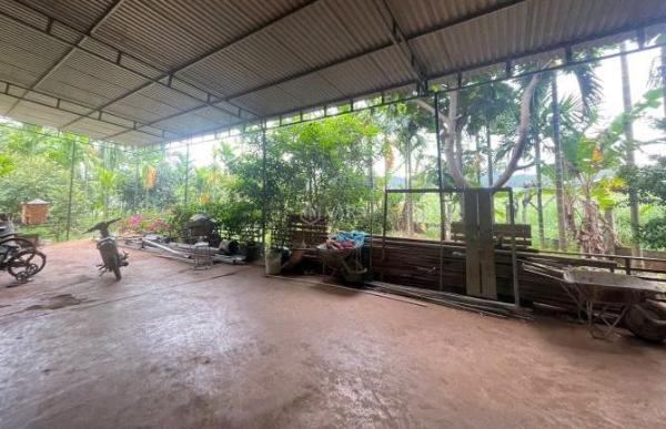 🌟🌟 Nhà vườn Hoà Thắng - gần Đại Lộ Đông 👍 Tây và Sân Bay Bmt
