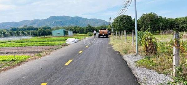 THỊ TRẤN 🏘️ PHƯỚC HẢI- View núi Minh Đạm siêu đẹp ; đi biển chỉ 10phút 🌈DT 2000M2