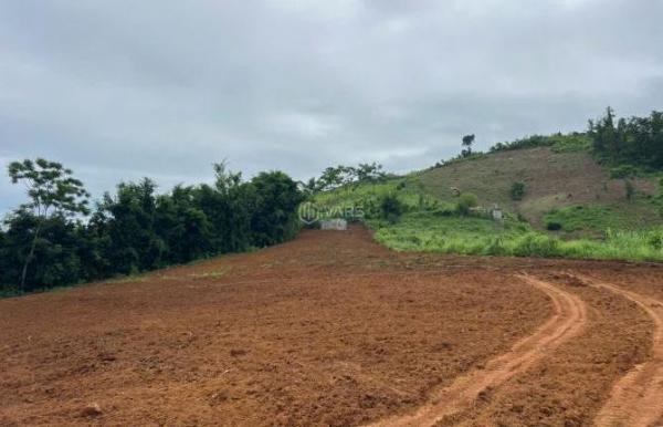 Chủ cần bán Đất nền riêng lẻ 3000m²