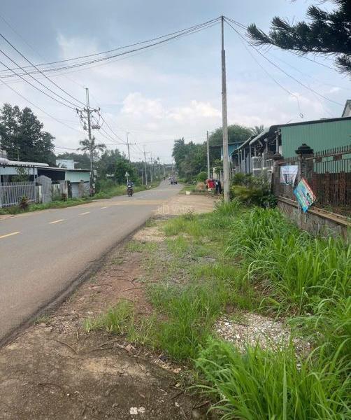 Bán Đất nền riêng lẻ 1300m²