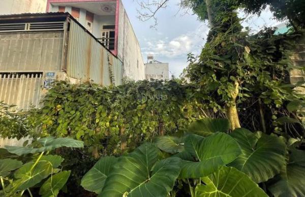 Chủ cần bán Đất nền riêng lẻ 115m²