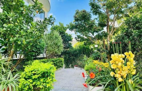 Cần cho thuê Khác 151m²