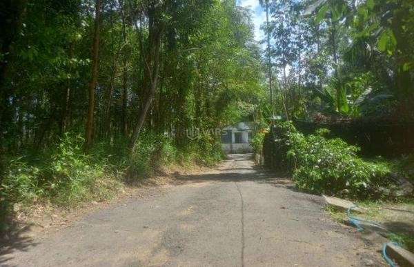BÁN 1037 M2 ĐẤT LÀM 🏘️ NHÀ VƯỜN NGHỈ DƯỠNG TP HUẾ