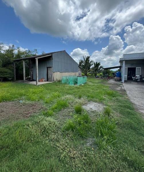 4×36 thổ 144m2 giá 239 🏣 triệu quê mỹ thạnh_Tân trụ_Long An rẻ nát khu