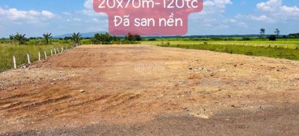 BRVT-TT Đất Đỏ 1400m2-20x70m-120tc 🏠 giá 3tyXx
