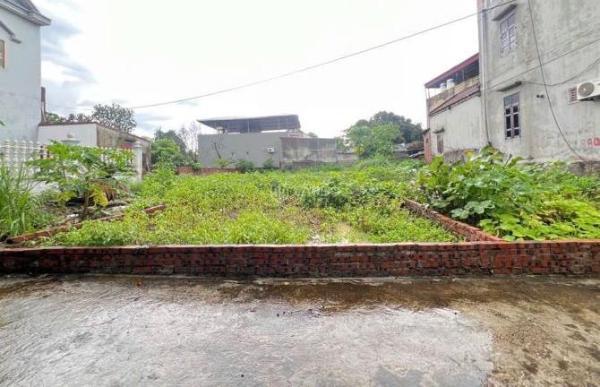 HƯƠNG CHI- LƯƠNG TÀI - BẮC 🏡 NINH- GIÁ CHO AE ĐẦU TƯ GIỮ DÒNG TIỀN