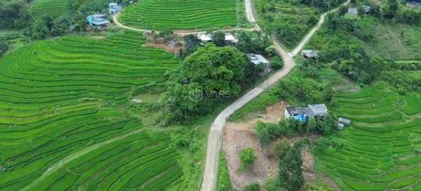 Chủ cần bán Đất nền riêng lẻ 993m²