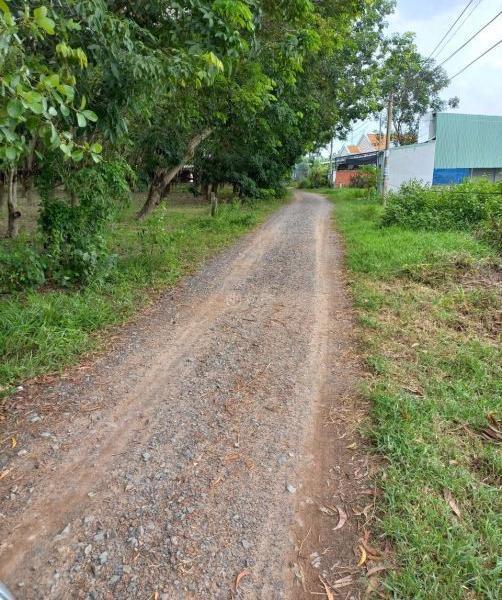Bán Đất nền Dự án 100m²