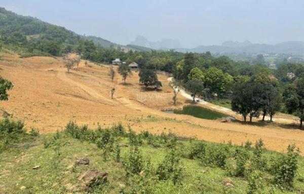 Cần bán Đất nền riêng lẻ 44000m²