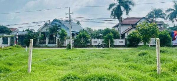 BRVT - LONG ĐẤT 🏦 - TT PHƯỚC HẢI - 4 LÔ - 6X29 - 175M2 - 1,38TY