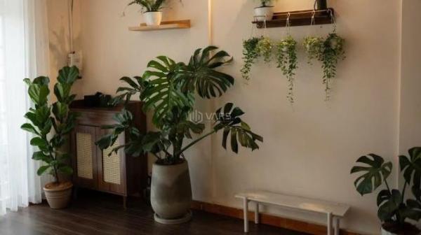 🌟 BÁN NHÀ MẶT TIỀN ĐƯỜNG KIM ĐỒNG – P6, TRUNG TÂM ĐÀ LẠT – CHỈ 🏠 5 TỶ 9 🌟