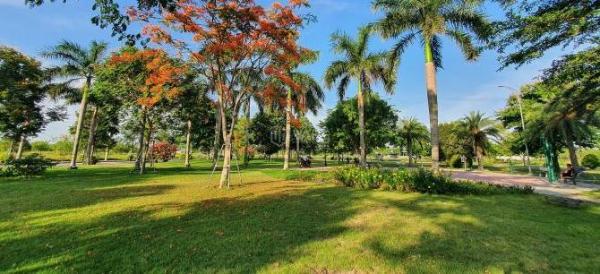 Chủ cần bán Đất nền Dự án 132m²