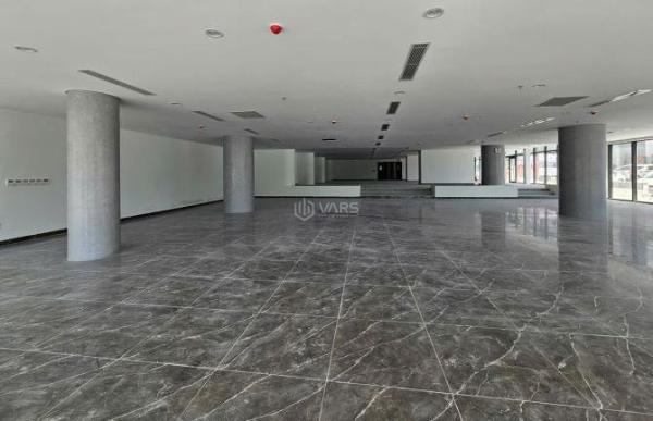 Chủ cho thuê Đất nền riêng lẻ 1000m²