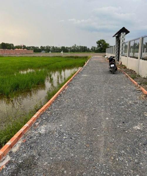 🔥🔥 BÁN GẤP 1000M² ĐẤT LÚA - XE HƠI VÀO TẬN NƠI - 🔥 GIÁ CHỈ 1 TỶ 🔥🔥