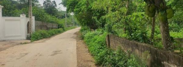 Chủ cần bán Đất nền riêng lẻ 2000m²