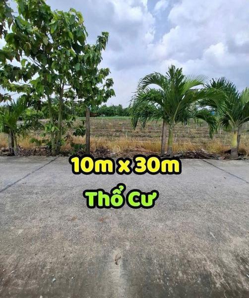 Chủ cần bán Đất nền riêng lẻ 300m²