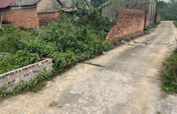 🏡 Chính chủ cần bán mảnh đất thổ cư tại Thôn Phú Hạ, xã 🏠 Kim Anh , Sóc Sơn – Hà Nội